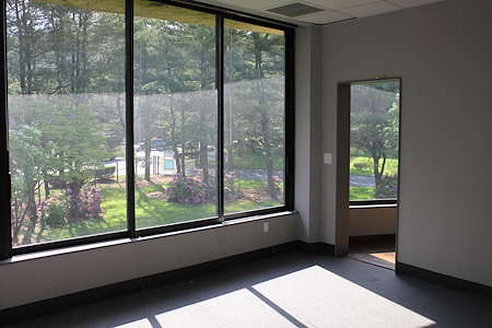 The Perfect Private Office (Copy 2)