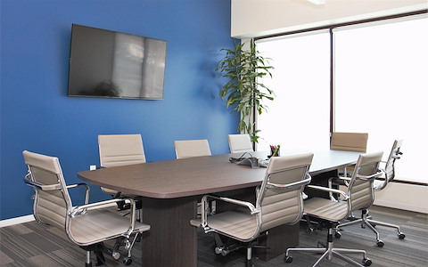 Conference Room (8 ppl) (Larger Avail)