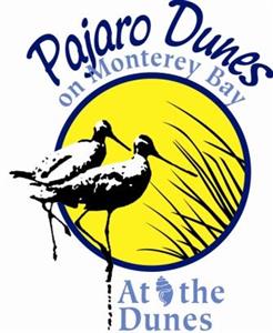 Logo of At The Dunes