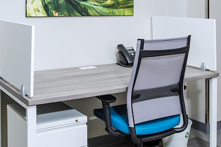 Office Evolution - Greensboro - Dedicated Desk