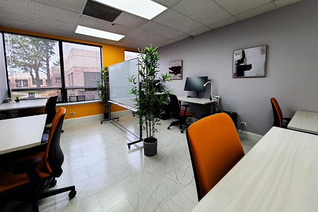 Blue Mango Coworking - Team Office up to 6 ppl or Large office