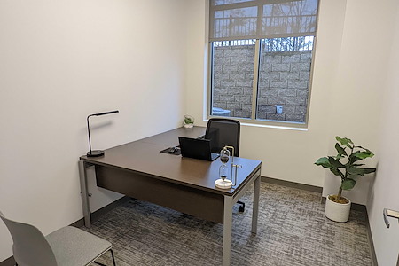 Towerview Office Suites- Page Creek  - Office 107