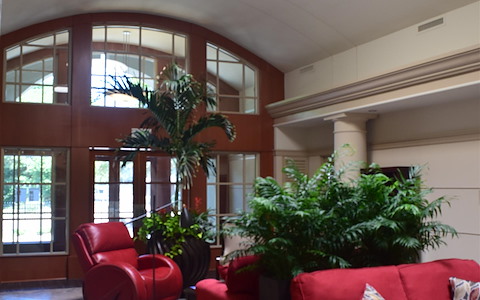 Spacious Area for Entertaining/Meetings