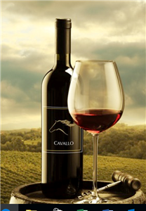 Logo of Cavallo Wine Group International Inc.
