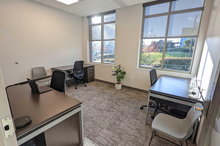 Towerview Office Suites- Page Creek  - Office 207
