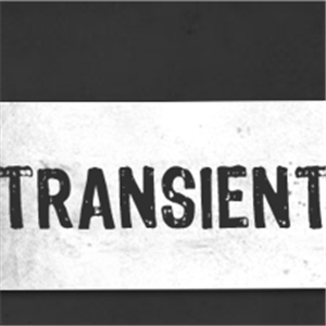 Logo of Transient Pictures