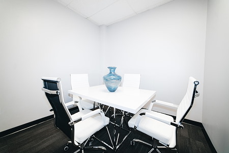 Perfect Office Solutions - Alexandria - Small Conference Room