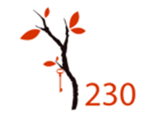 Logo of WorkSpace 230