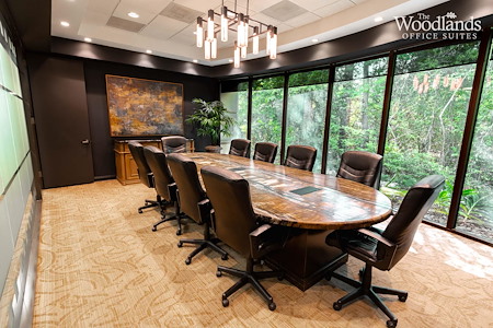 The Woodlands Office Suites - Executive Boardroom