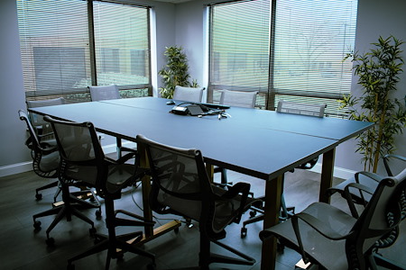 Blue Mango Coworking - Meeting Room 1