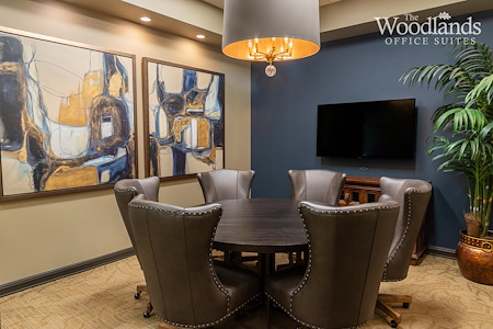 The Woodlands Office Suites - Conference Room