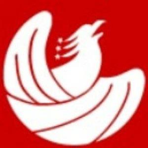Logo of Auspicious Phoenix