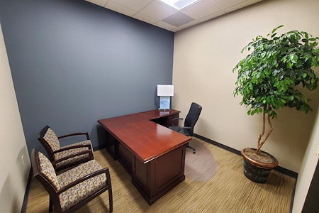The Woodlands Office Suites - Suite #226 - Interior Office