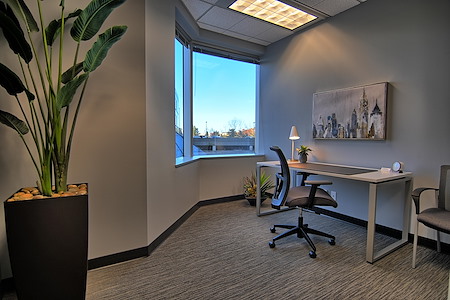 Intelligent Office Bloomington - Executive Office Suite with VIEWS!