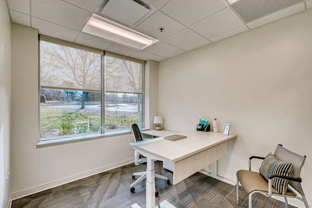 Office Evolution - Johns Creek - Office 115