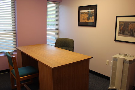 Art Play Learn - private office with large desk