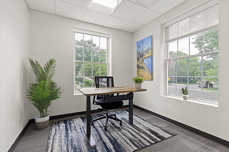 Capital Workspaces - Spring Valley 4315 - Office Pass