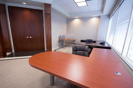 Newpark Professional Center - Monthly Large Executive Suite