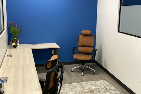 Thrive Coworking DTSP - Private Office #214