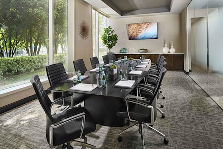 NorthPoint Executive Suites Alpharetta - Executive Boardroom