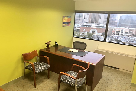 Tysons Office Suites - Day Office