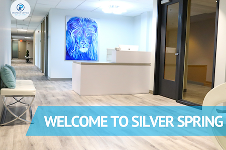 Perfect Office Solutions - Silver Spring - MEMBERSHIP - COWORKING AREA