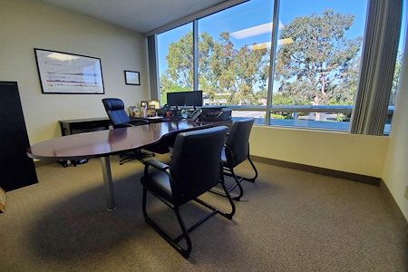 Professional private offices available in Aliso Viejo - Window Wall in Large Office