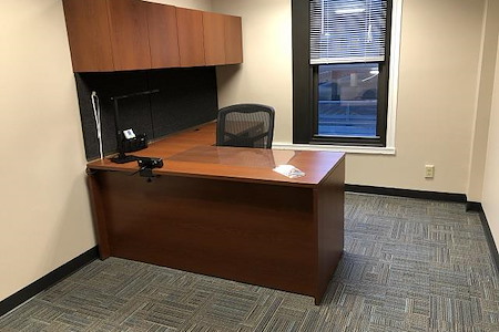 BusinessWise (Law &amp;amp; Finance Building) - Day Pass: Suite 300G-Private Office