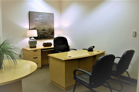 Perfect Office Solutions - Columbia - Private Office