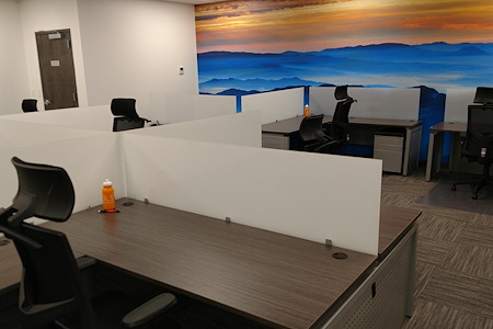 3LS Work|Spaces @ Conference Drive - Dedicated Desk 2