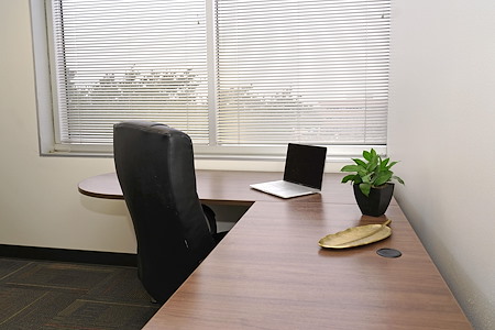 Executive Workspace| Carrollton - Private Window Office