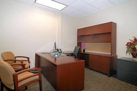 (HVN) The Executive Suite at Haven - Day Office