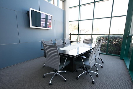 Silicon Valley Business Center - Large Conference Room
