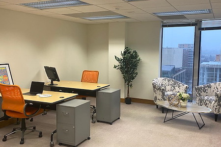 Brix Coworking Downtown - 256 sqft Team Office Space - 805