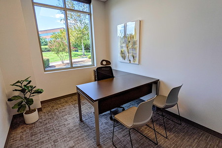 Towerview Office Suites- Page Creek  - Office 101