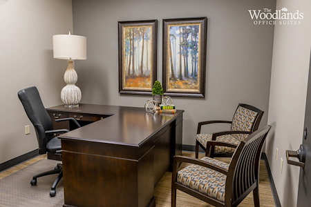 The Woodlands Office Suites - Day Office