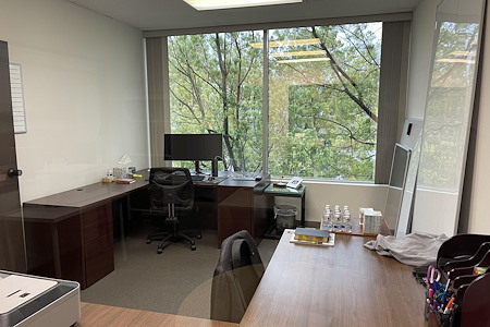 Professional private offices available in Aliso Viejo - Private Office (with window)