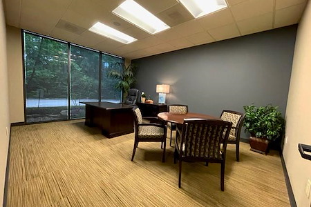 The Woodlands Office Suites - Suite #225 - Large Window Office