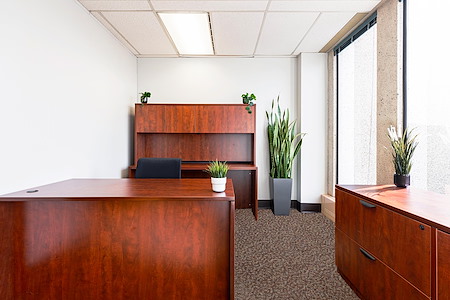 MPS Executive Suites - Fully Furnished Bright Corner Office