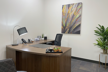 Executive Workspace| Frisco Station - Private Interior Office