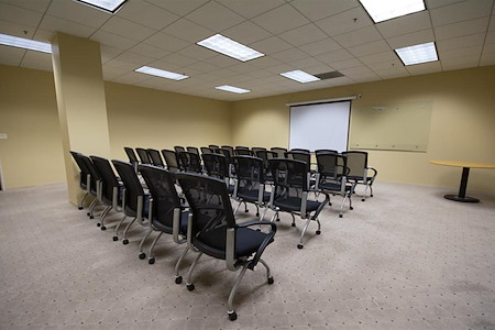Newpark Professional Center - Seminar room