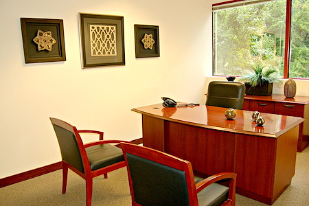 Business Center International - Private Offices - Window