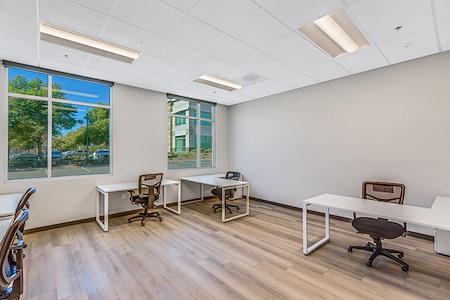 Palmetto Offices - Private Office B