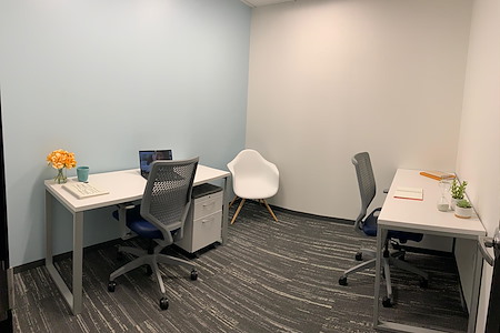 Metro Offices - Tysons - Private 1-2 person Small Interior office