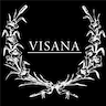 Logo of Visana | Corporate Events, Parties &amp;amp; Classes