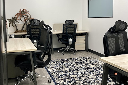 Thrive Coworking DTSP - Private Office #336