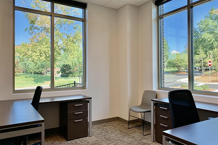 Towerview Office Suites- Page Creek  - Office 204