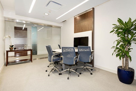 Carr Workplaces - Reston Town Center - Wiehle Meeting Room