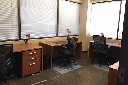 580 Executive Center - Suite 208 Solo or Team Office