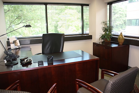 AEC - Radnor - Day Office For 3 People